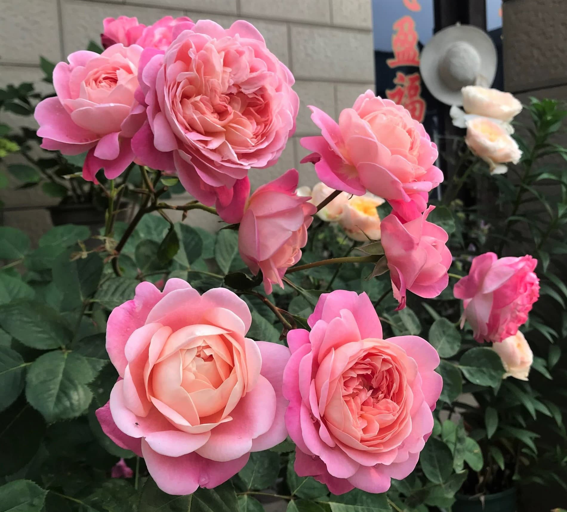 Фото 2