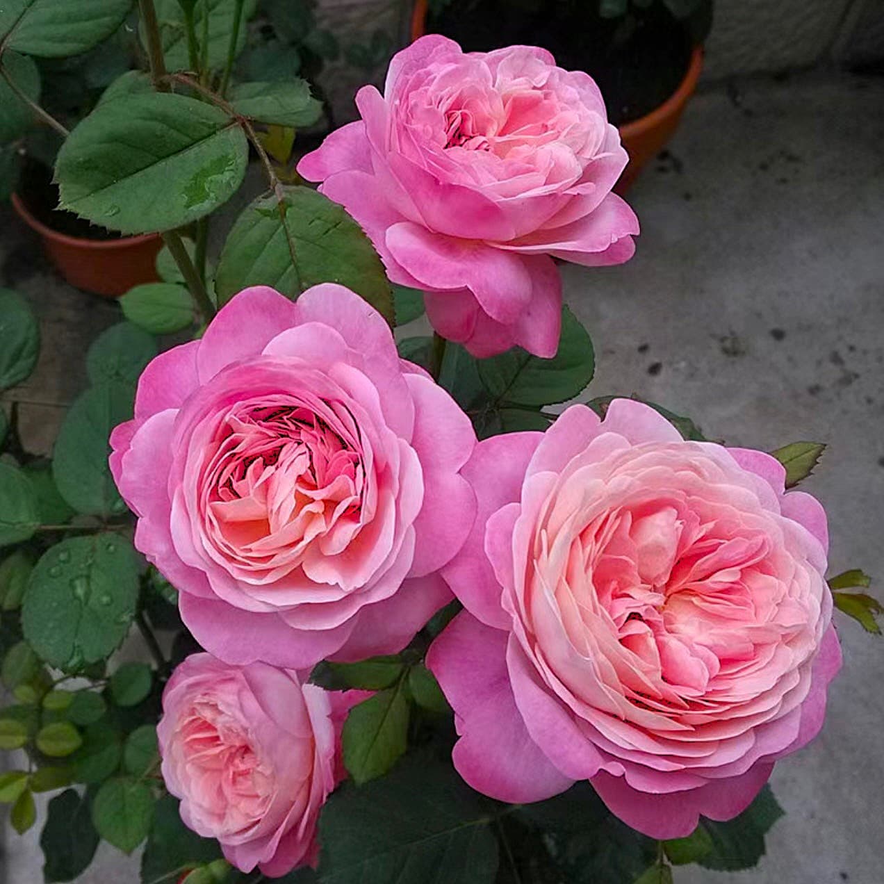 Фото 5