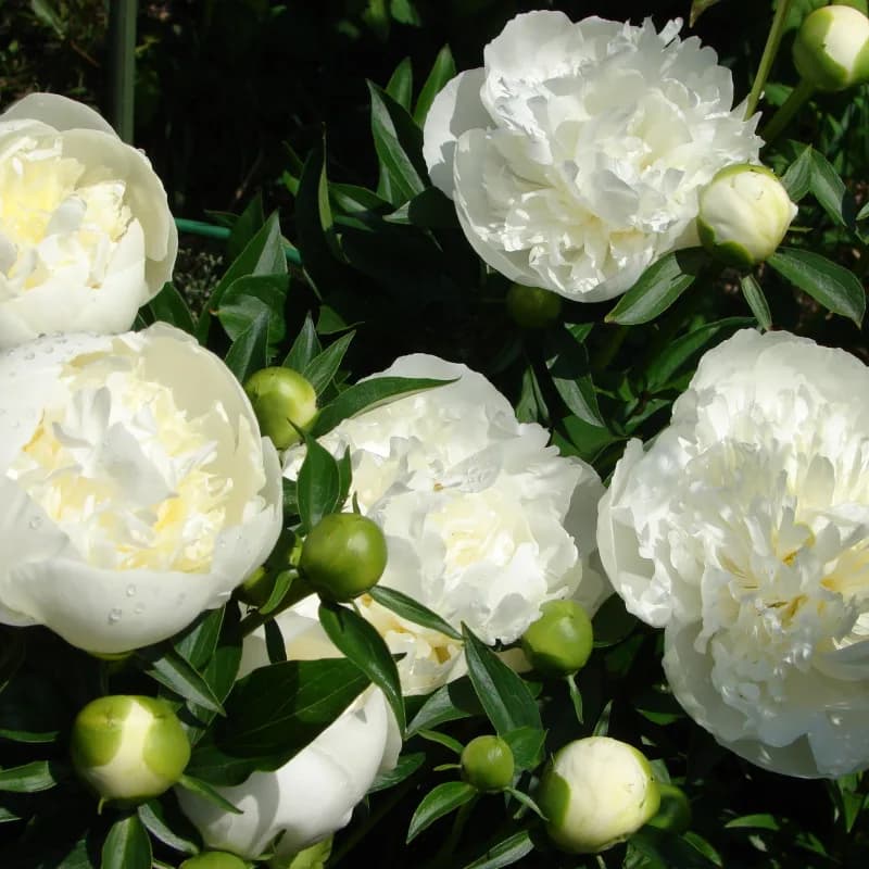 Фото 2