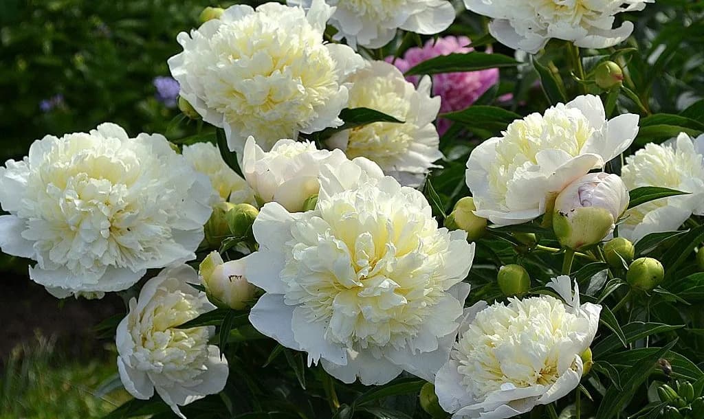 Фото 3