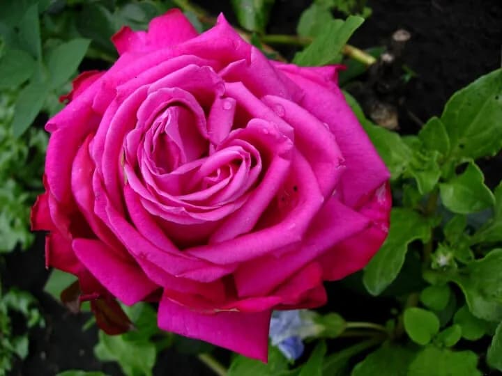 Фото 2