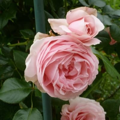 Фото 2