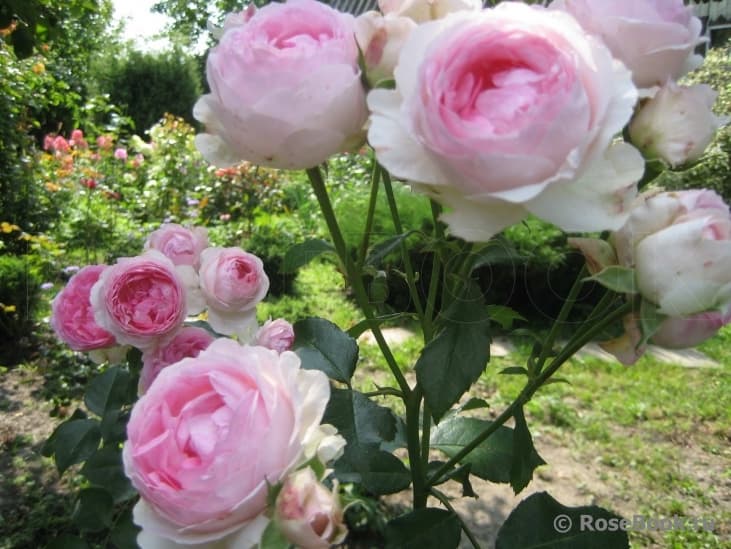 Фото 3
