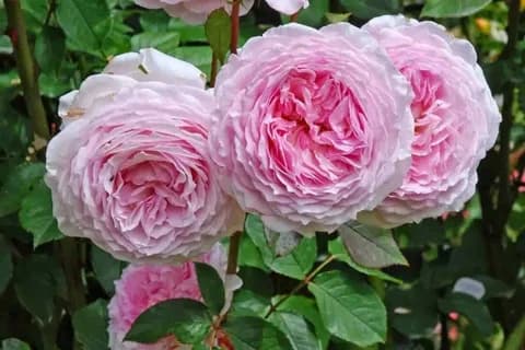 Фото 2