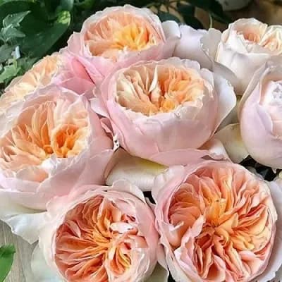 Фото 2