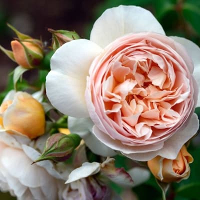 Фото 3