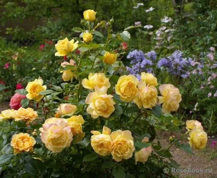 Фото 3