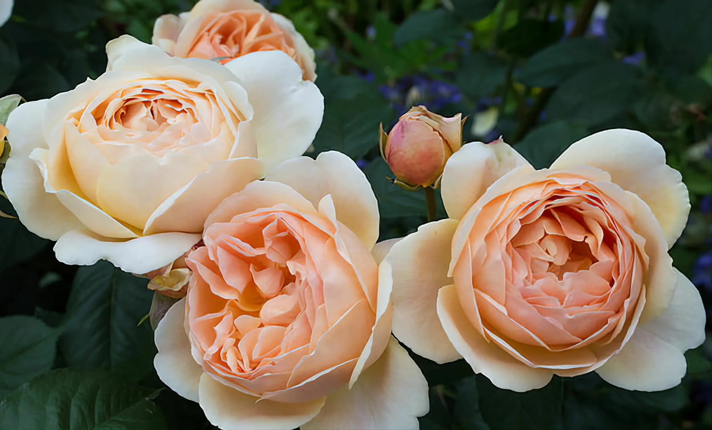Фото 3