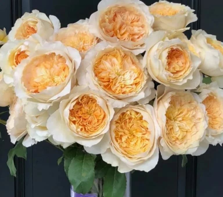 Фото 2