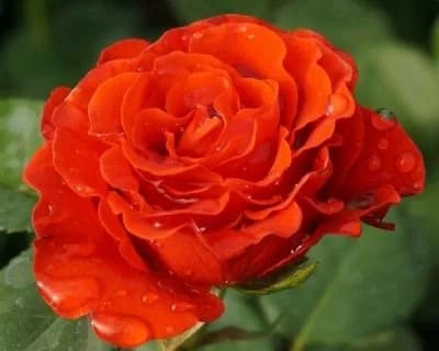 Фото 3