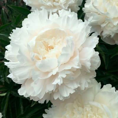 Фото 3