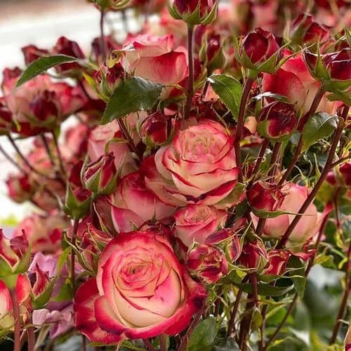 Фото 2