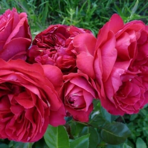Фото 2