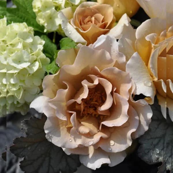 Фото 2