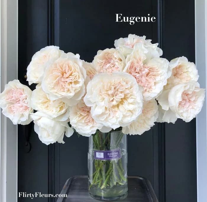 Евгения (Eugenie) D. Austin Великобритания 2019