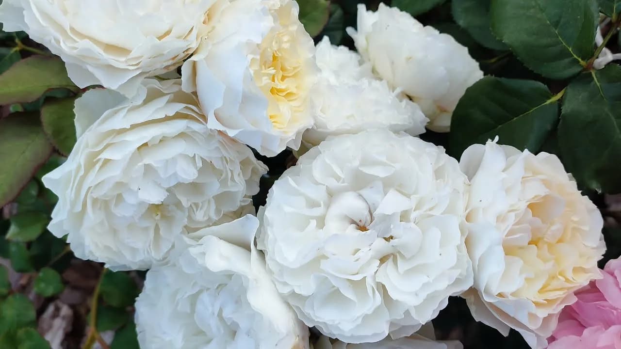 Фото 2