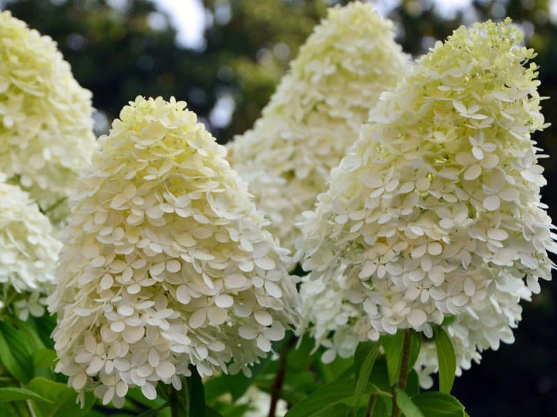 Фото 2