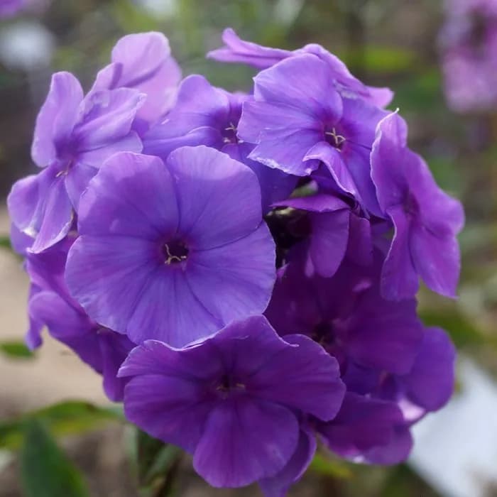 Фото 3