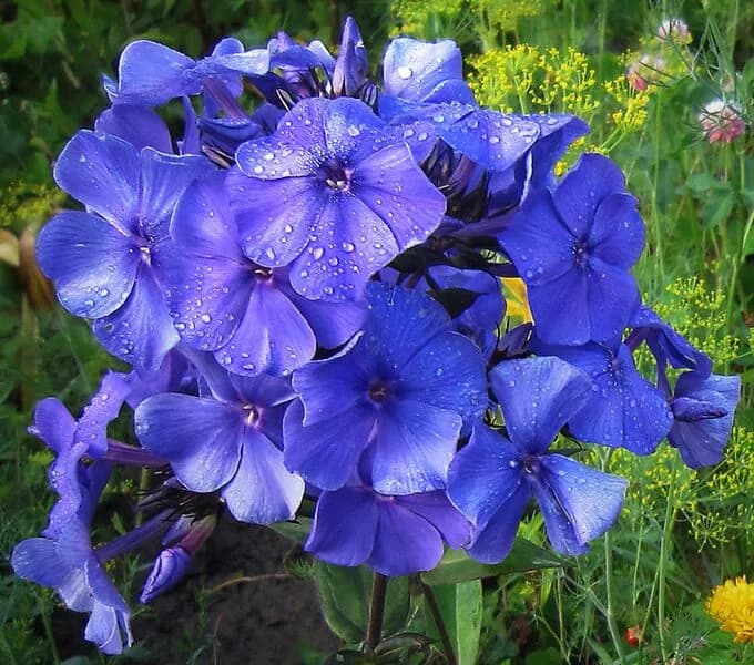 Фото 2