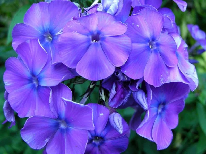 Фото 3