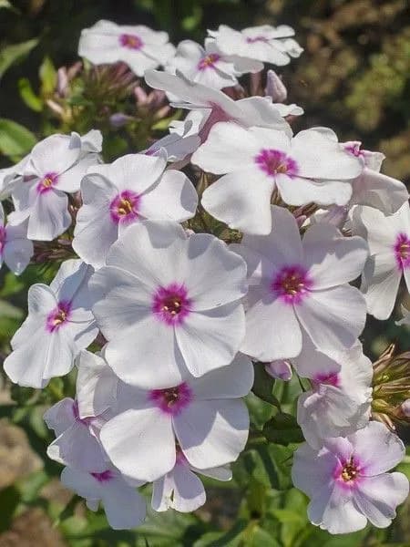 Фото 2
