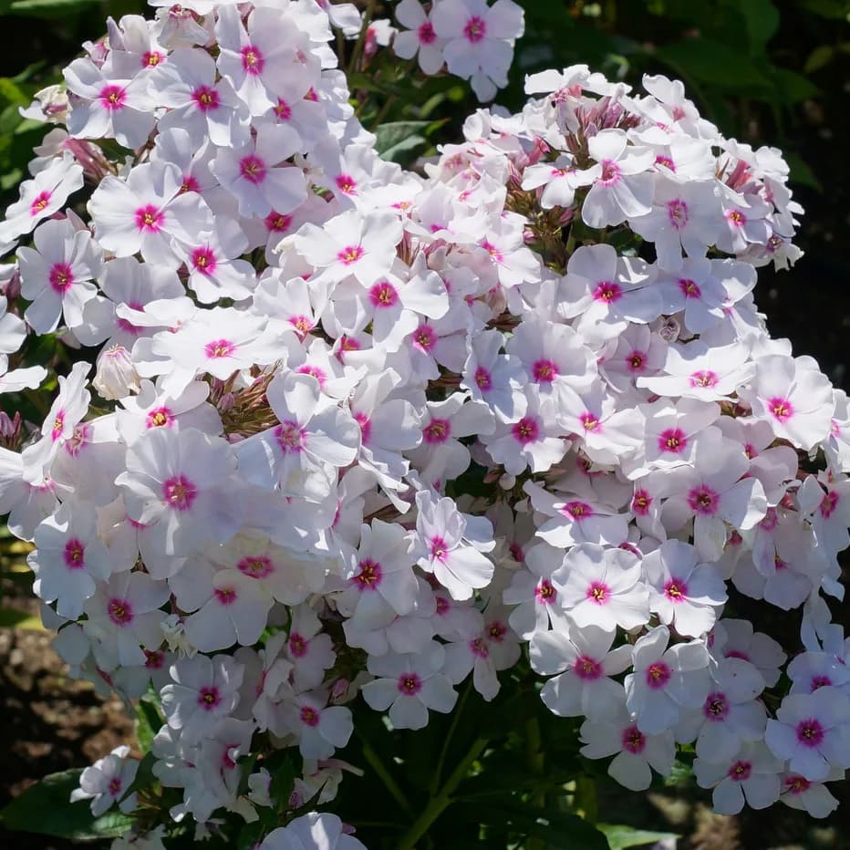 Фото 3