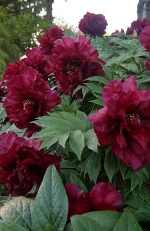 Фото 3