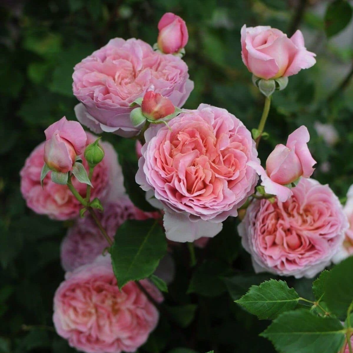 Фото 3