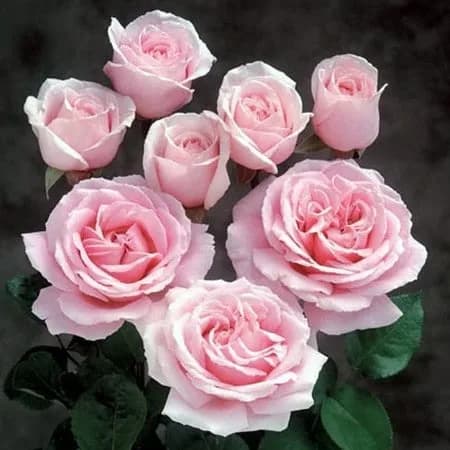 Фото 2