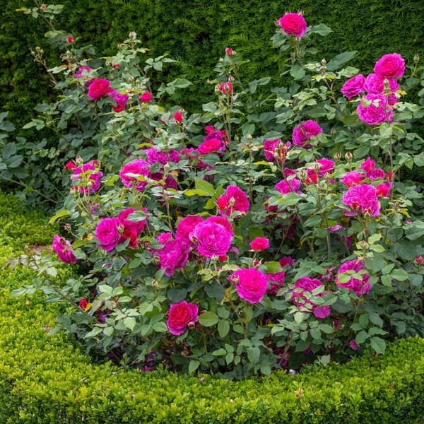 Фото 2