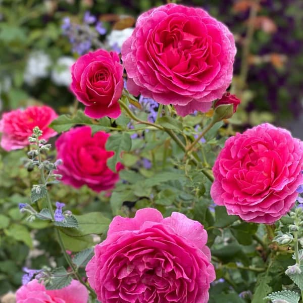 Фото 3