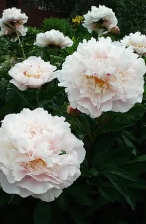 Фото 3