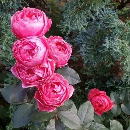 Фото 2