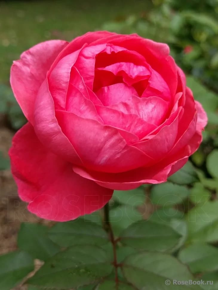 Фото 4