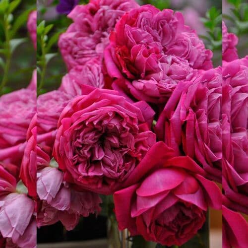 Фото 2