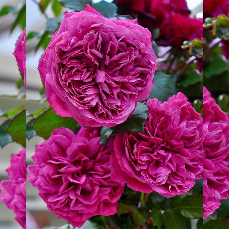 Фото 3