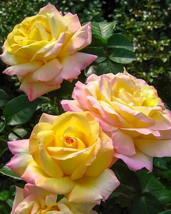 Фото 2