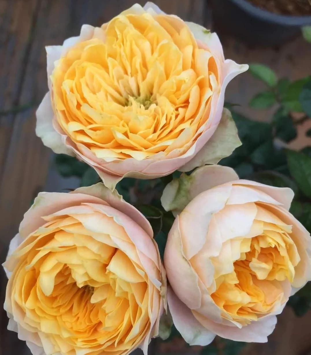 Фото 3