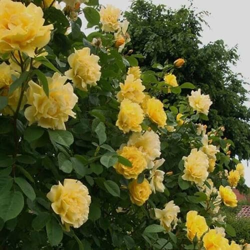 Фото 3