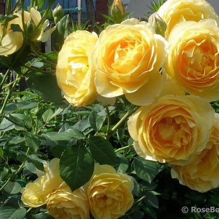 Фото 2