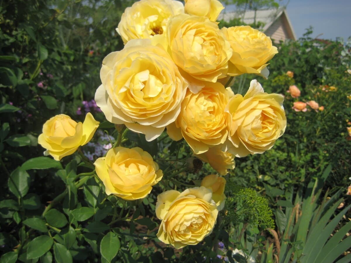 Фото 3