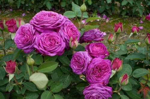 Фото 2