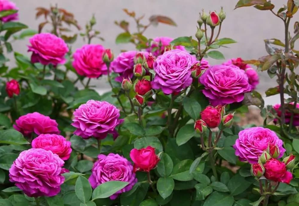 Фото 3