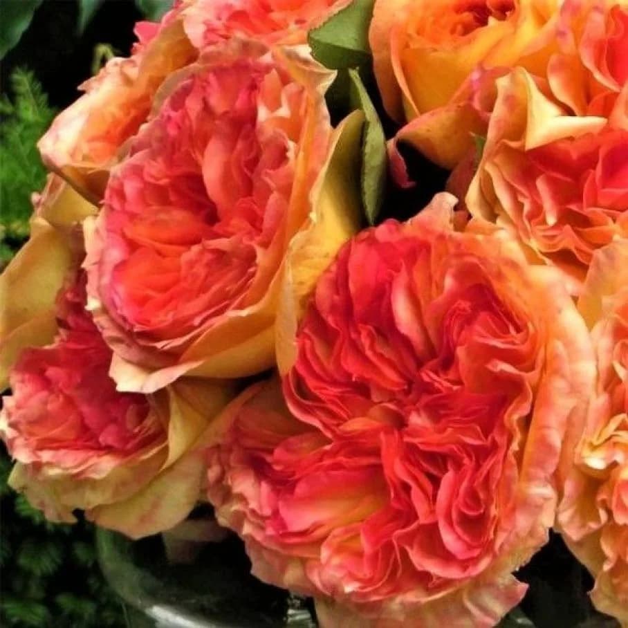 Фото 2