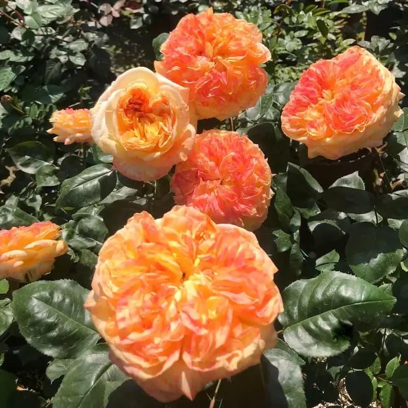 Фото 3