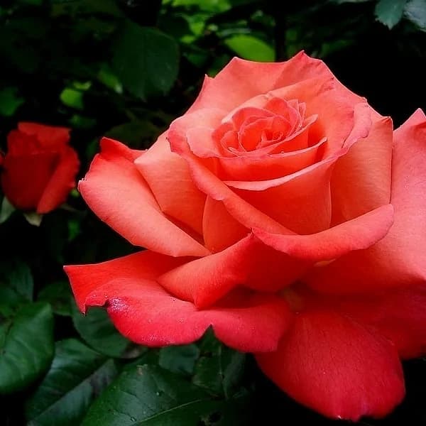 Фото 3