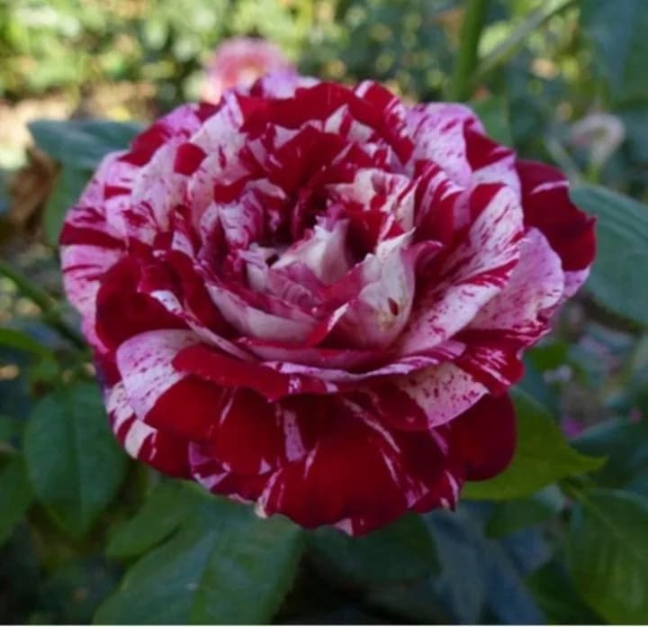 Фото 2