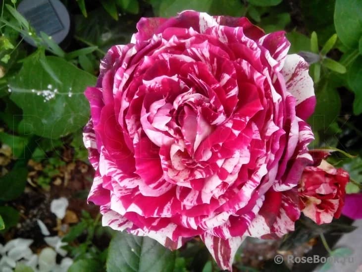 Фото 3