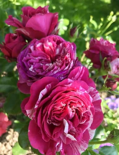 Фото 3
