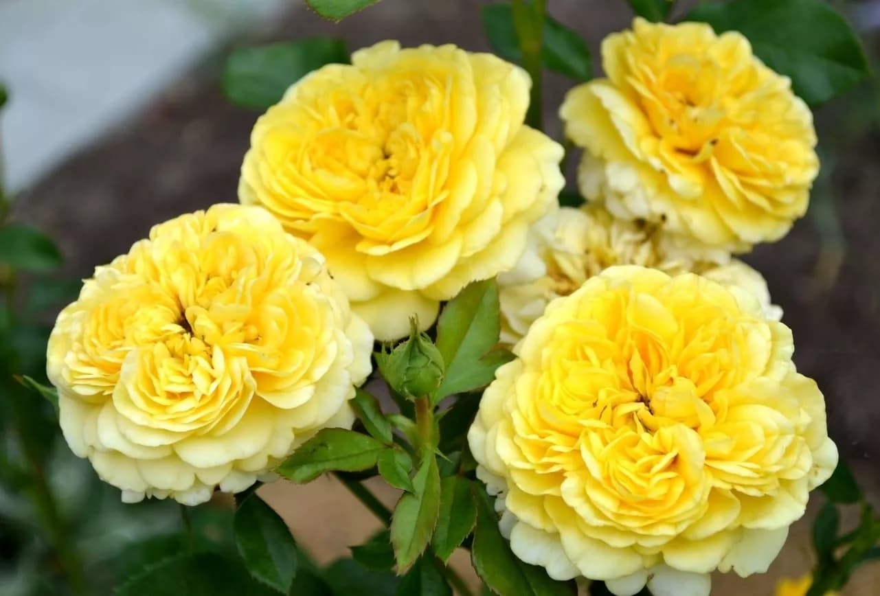 Фото 2